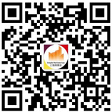 ����¥��