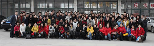 超过80人SEO专业团队